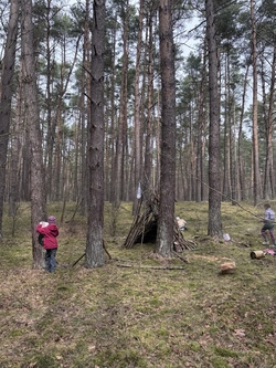 Abenteuer Achtsamkeit im Wald