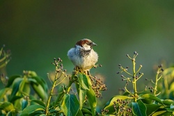 Auf Entdeckungsreise im Naturerlebnisgebiet &ldquo;G&ouml;ldern&rdquo;