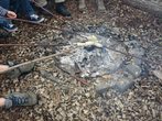 Rund ums Feuer