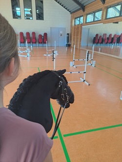 Schnupperkurs Hobby Horsing