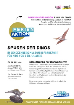 Museumsp&auml;dagogik Rund um Dinos