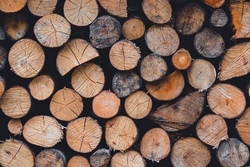 Basteln mit Holz