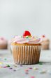 Sommerliche Muffins backen 