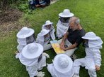 Bienenstreicheln