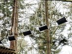 Ein Tag im Kletterwald