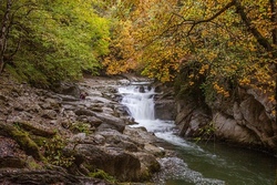 Auf Expedition am Bach