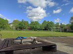 Sportlicher Nachmittag in der Priesterwiese