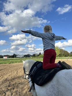 Westerkappeln - Voltigieren 