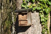Wir zimmern ein Futterhaus oder einen Nistkasten f&uuml;r V&ouml;gel