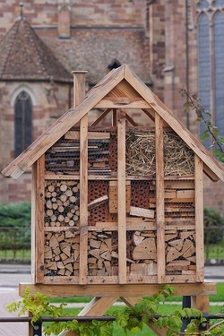 Insektenhotel bauen 