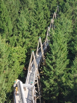 Baumkronenweg und Walderlebniszentrum Ziegelwies