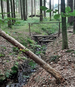 Walderlebnistag am Silberbr&uuml;nnl