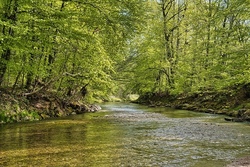 Abenteuer im Auew&auml;ldchen