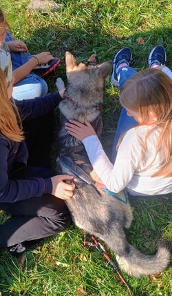 Husky-Abenteuer f&uuml;r Kids 2