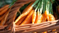Ab in den Topf! Ein kunterbunter Garten-Kochkurs