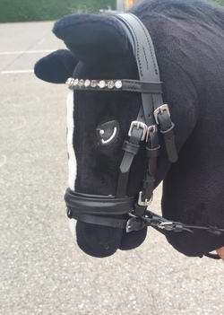 Hobby Horsing