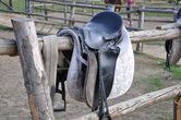 Ein Tag rund um&acute;s Pferd
