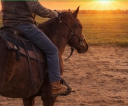 Wilder Westen auf der Grettscher Ranch 