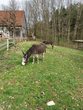 Besuch im Mitmachtheater