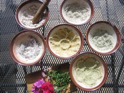 Kr&auml;utersalz aus Wiesenkr&auml;utern herstellen