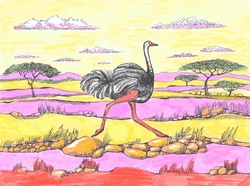 Vogel Strau&szlig;