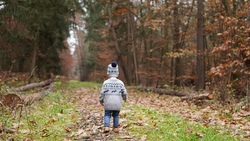 Wunderbarer Wald (8 - 12 Jahre)