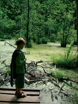 Unterwegs mit der kleinen Moorhexe (6-12 Jahre)