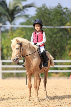 Reiten , Umgang und Pflege mit dem Pferd (6-12 Jahre)