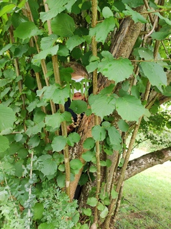 Vogelforschung mit dem Ranger