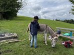 Spannende Eselwanderung f&uuml;r Kinder