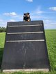 ABGESAGT: Vorf&uuml;hrungen mit den Hunden beim Hundesportverein