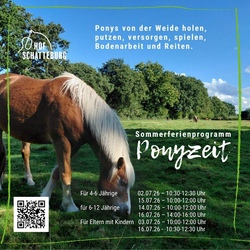 Ponyzeit f&uuml;r Kinder mit Begleitperson