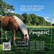 Ponyzeit f&uuml;r 4-6 J&auml;hrige