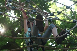 Kletterwald