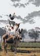 Weidebesuch - Die Tiere der Farm kennenlernen und versorgen 