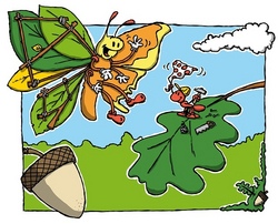 Wald und Wiese