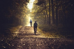 Mountainbiketour um Germaringen