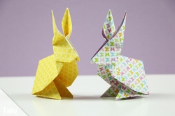 Origami f&uuml;r Anf&auml;nger und Fortgeschrittene