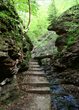 Wanderung durch die Seltenbachschlucht und Besuch der Greifvogelstation in Klingenberg