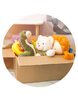 Kinderflohmarkt zur Er&ouml;ffnung des Kinderferienprogramms
