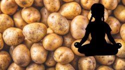 Kartoffelacker trifft Kinderyoga