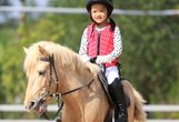 Reiten f&uuml;r die Allerkleinsten 