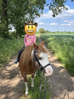 Ponyspa&szlig;