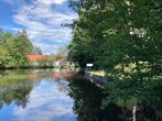Naturerlebnis Fische und Gew&auml;sser 