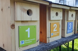 Neubauten f&uuml;r Forsterns V&ouml;gel & Nassfilzen