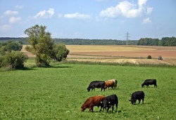 Wir besuchen den Zacherhof
