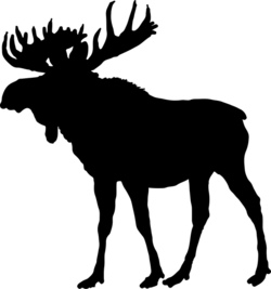 Wildpark Schweinfurt