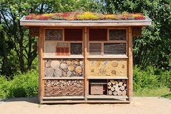 Insekten Hotel Teil 1 &ndash; Bauen und Bemalen 