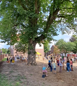 Sommerferienbetreuung Meyerhofschule