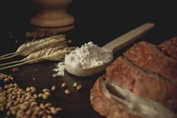 Vom Korn zum Brot